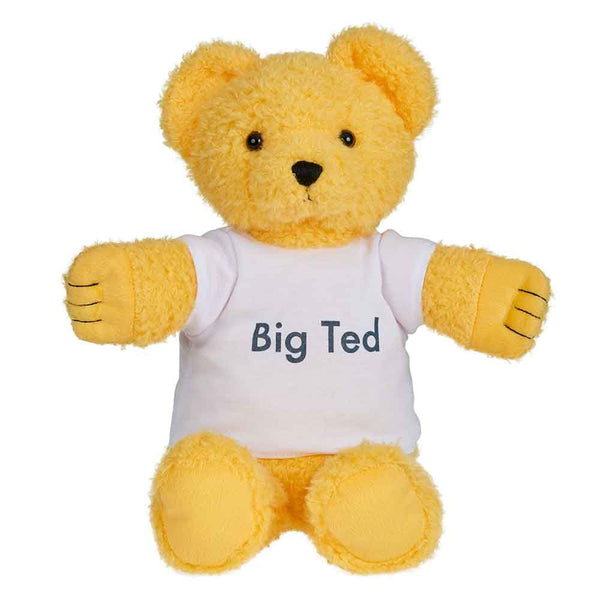 Play School: Big Ted Soft Toy 30cm