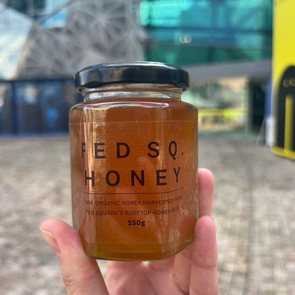 Fed Square Honey Jar 250g