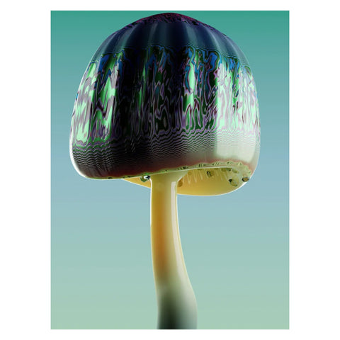 Zawada: Limited Edition Print "Redundant Ladybird"