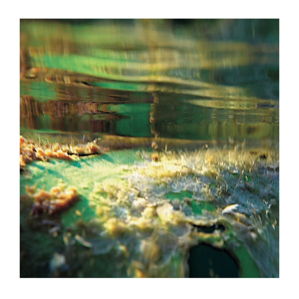 The Vinyl Factory: Pipilotti Rist: Sleep / Spiracle - LP Vinyl