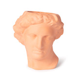 Apollo Vase: Terracotta