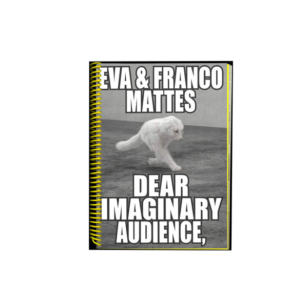 Dear Imaginary Audience - Softcover
