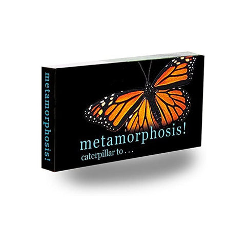 Fliptomania Flipbook - Butterfly Metamorphosis